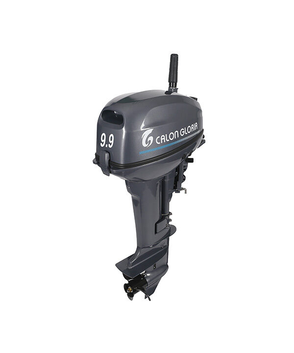 9.9 hp